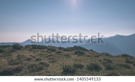 misty sunrise in Slovakian Tatra mountains with light lanes in fog over dark forest. autumn in hiking trails - vintage old film look