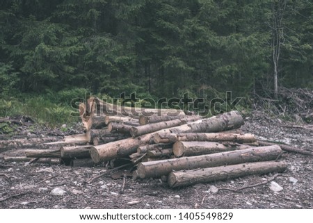 pile of freshly cut log wood in forest for burning in fire place - vintage retro film look