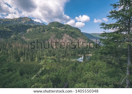 western carpathian mountain panorama in clear day with tourist hiking trails and green forest around. Tatra, Slovakia - vintage retro look