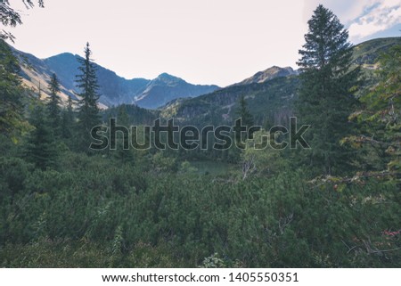 western carpathian mountain panorama in clear day with tourist hiking trails and green forest around. Tatra, Slovakia - vintage retro look