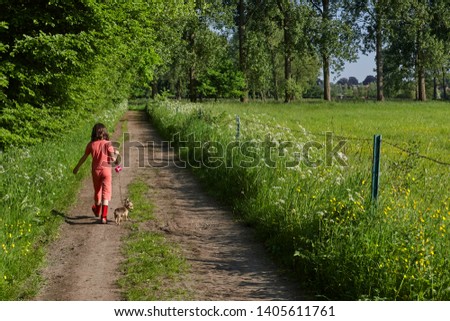 Little girl walking her chihuahua on a small country road in Flanders during Summer