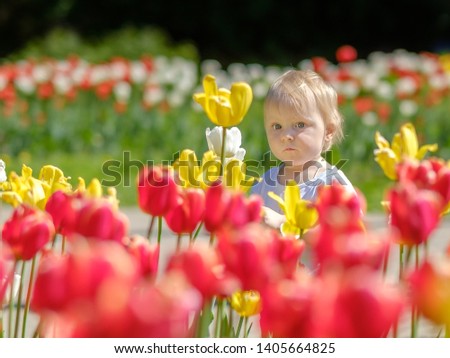 Little blonde girl child among blooming red and yellow tulips. Sunny spring day. Blurred background. Copy space.