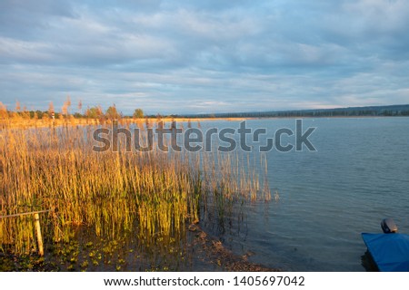 the view from the sea grass of the lake