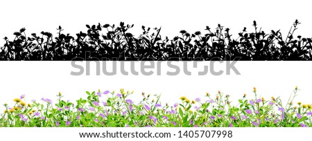 purple clover flowers and grass isolated on black background with alpha mask for easy isolation Royalty-Free Stock Photo #1405707998