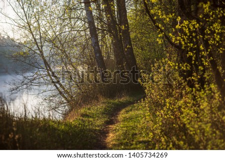 scenic river view landscape of forest rocky stream with trees on the shores. beautiful light