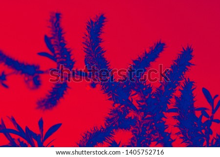 Abstraction in blue and red tones. Background from various plants. Flowers, tulips, branches, natural plants in a different color.
