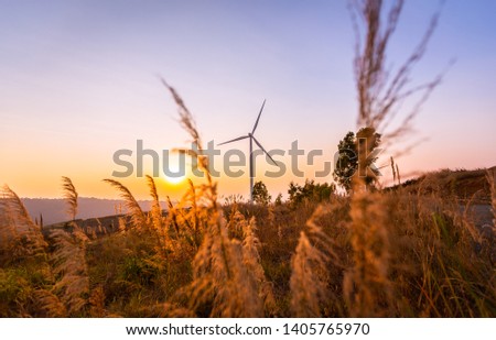 Electricity production with wind turbines Wind turbine pictures produce evening lights