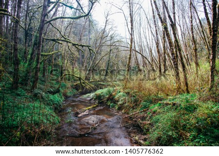 Tryon Creek State Natural Area in Portland, OR Royalty-Free Stock Photo #1405776362