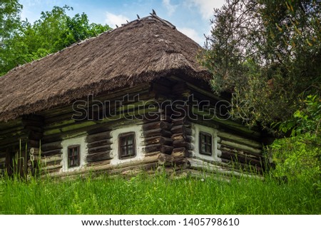 Old wooden house in the wild Ukrainian forest