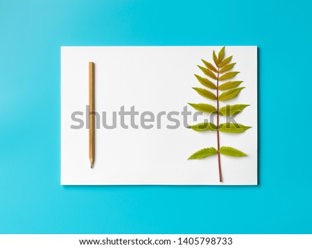 Mockup blank paper and branch with green leaves and pencil on a blue background. Flat lay, top view