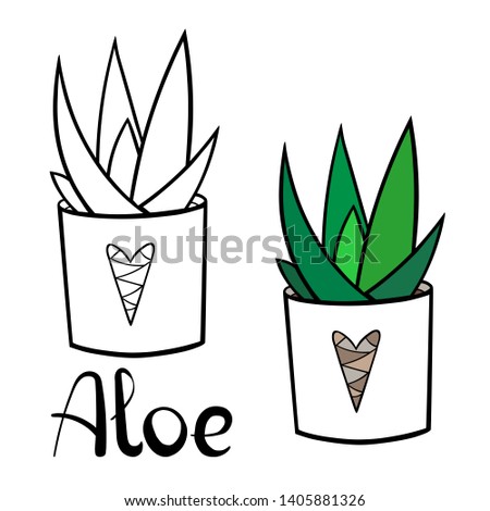 A picture of a house plant in a planter. Vector outline illustration drawings of coloured indoor plant in a flowerpot isolated on a white background. Aloe plant with a handwriting caption