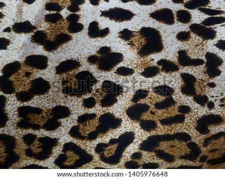 Close up leopard print texture