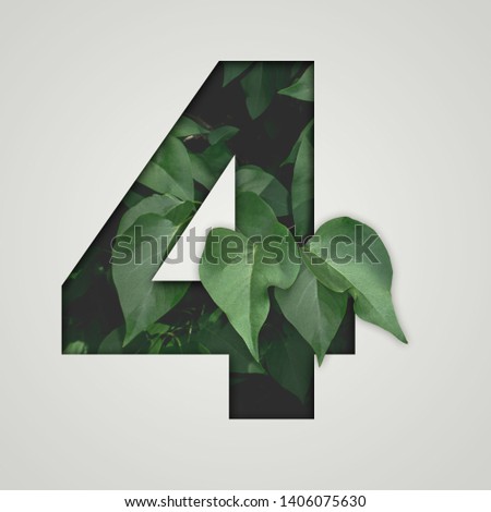 Nature concept. Creative number with green leaves on a gray background. Creative typography, Chapter in the presentation, template. 4 number four.