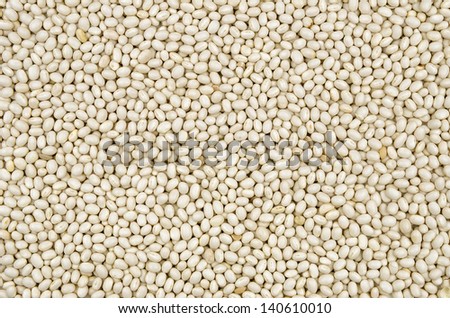 Background with white beans