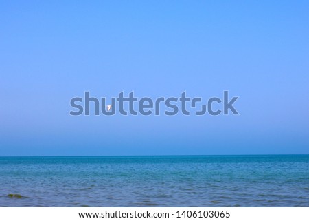 Seascape with sea horizon and clear blue sky, flying seagull