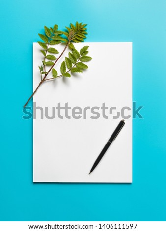Mockup blank paper and branch with green leaves on a blue background. Flat lay, top view