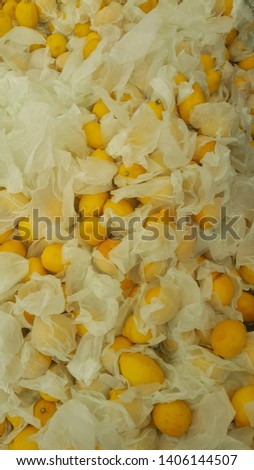 yellow lemons wrapped in white paper