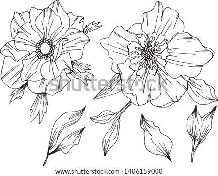 Vector doodle hand drawn Anemone flower, forest plant sketch drawing. Coloring book page for adult. Bohemia concept for wedding invitation, card, ticket, branding, boutique logo, label.