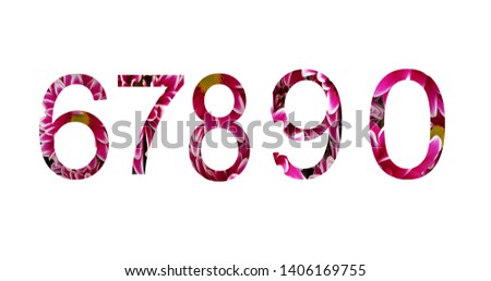 Set of arabic numbers from natural red flowers isolated on white background