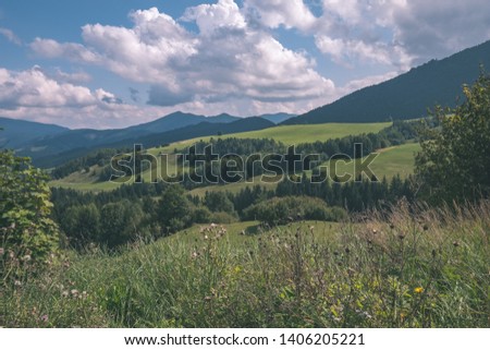 western carpathian Tatra mountain skyline with green fields and forests in foreground. summer in Slovakian hiking trails - vintage old film look