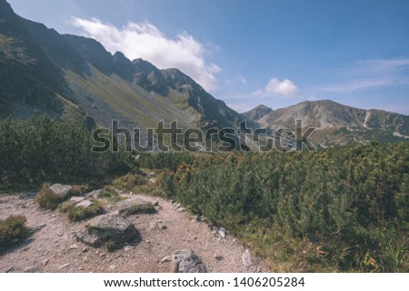 rocky hiking trails for tourists in western carpathian Tatra mountains in slovakia. clear summer day for hiking and adventure - vintage old film look