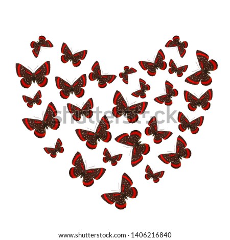 a flock of colored butterflies in the shape of a heart isolated on white background