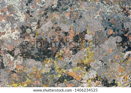 Photograph of granite stone texture. Old large granite stone covered with multi-colored moss.
