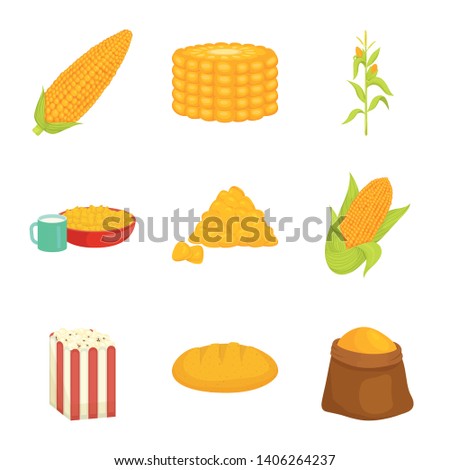 Vector illustration of maize and food sign. Collection of maize and crop stock vector illustration.