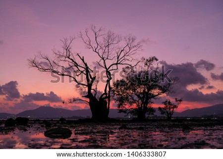 Beautiful twilight sky and trees silhouette with water reflection 