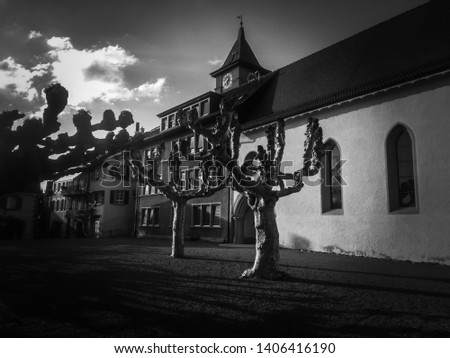 Old building, church with a clock and trees, black and white, strange atmosphere, dark mood