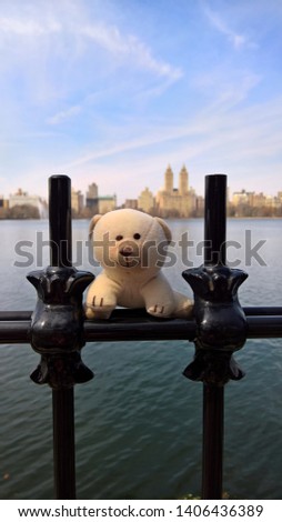 My son loves this bear. It fits in his palm. When we walked from north to south of central park, there were some places we stopped to take photos. One of the crowded places was at the lake. 