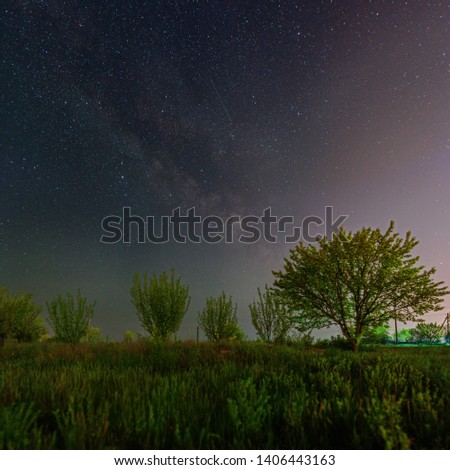 Milky Way galaxy over the young trees. Spring vegetation under the starry night sky. Night landscape in Kriviy Rih, Ukraine