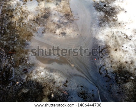 dirty snow in the garden in spring photo