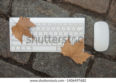 autumn leaves on a keyboard