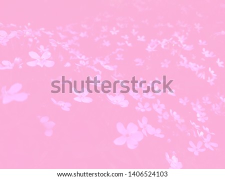 Nice pink light picture nature with small wild flowers styled and creative for web, wallpaper