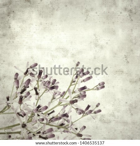 textured stylish old paper background, square, with pale lilac flowers of chinabery tree 