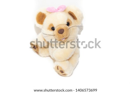 Soft toy mouse isolated on white background. Kids toys.