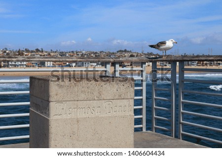 view of HERMOSA BEACH (California) from Hermosa Beach Pier
