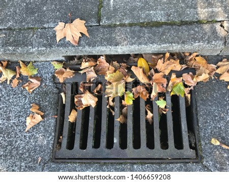 Iron street drain with clogging leaves