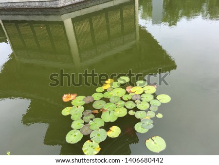 This is a beautiful picture with stone pagodas and lotus leaves reflected in the water.