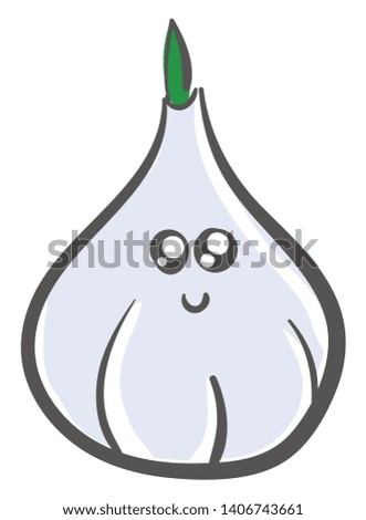 It is small bulbous herb used as a flavoring in cooking and in herbal medicine., vector, color drawing or illustration. 