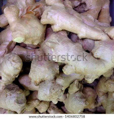 Macro Photo food root vegetable ginger. Ginger roots product background texture