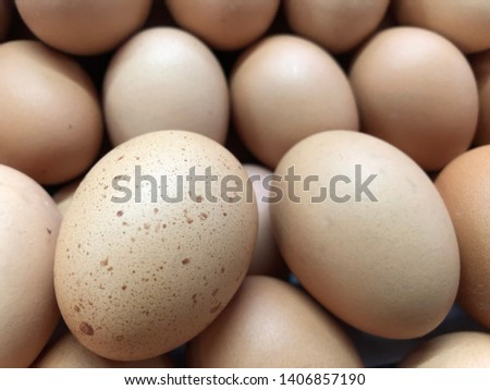 Many fresh eggs chicken.food ingredients concept.