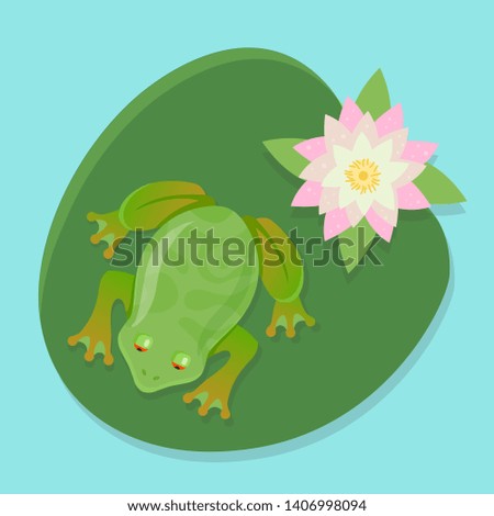 a live frog sits on a water lily on a pond. character illustration in color