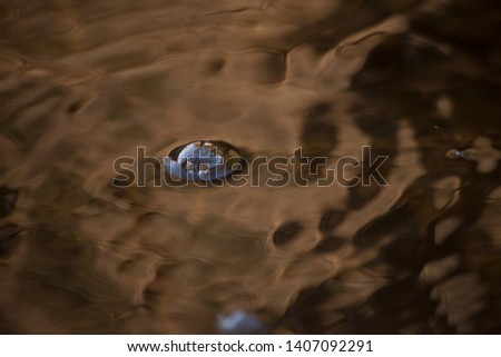 Water texture Bubbles on the water. Deep colors. Harmony sphere. The rapid flow. The surface of the water. Designer background. Daylight. Beauty of nature. Peace of mind. Waves on the surface of the w
