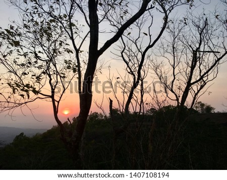 Silhouette of trees in the hill. Sunset concept - Image.