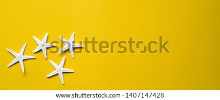 close up group of white star fish on vivid freshness yellow color panoramic background for summer season concept