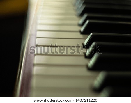 old piano keys, instrument, macro