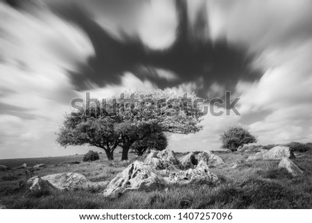 long exposure black and white picture of a tree with rocks in the foreground