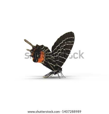 Bhutanitis Lidderdalii or Bhutan Glory Butterfly Swallowtail Isolated 3D Illustration